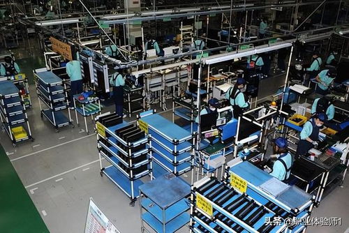 跨越国界的幸福 一个90后安徽女子在日本找到了家